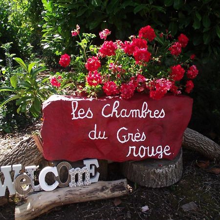 Chambres Du Gres Rouge De Beauval Екстер'єр фото